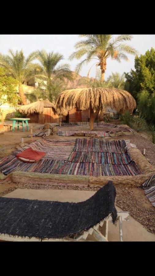 Elbadawy Camp Hotell Nuweiba` Exteriör bild