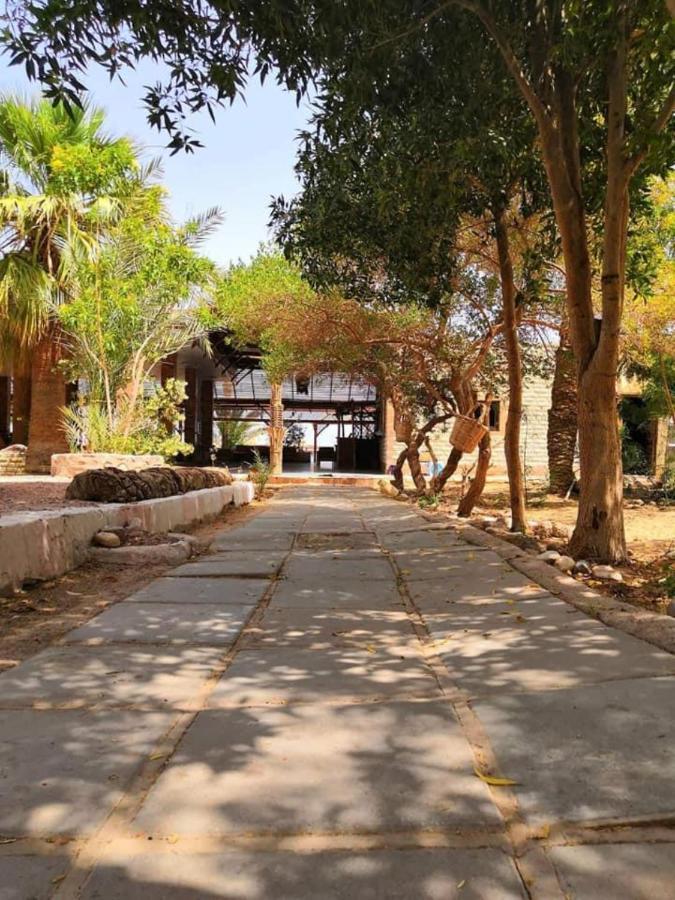 Elbadawy Camp Hotell Nuweiba` Exteriör bild